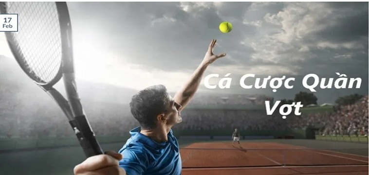 Cá Cược Quần Vợt B29: Chiến Thuật Cá Cược Quần Vợt B29 2 Cá Cược Quần Vợt B29: Chiến Thuật Cá Cược Quần Vợt B29