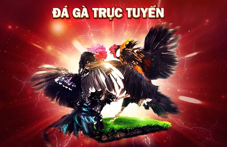 Đá Gà AZ888 Cơ Hội Kiếm Tiền Từ Đấu Trường Chuyên Nghiệp