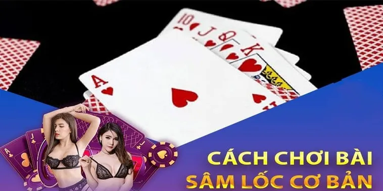 Lên Đời Với Sâm Lốc B29: Bí Kíp Tham Gia Cực Đỉnh Cho Dân Cá Cược